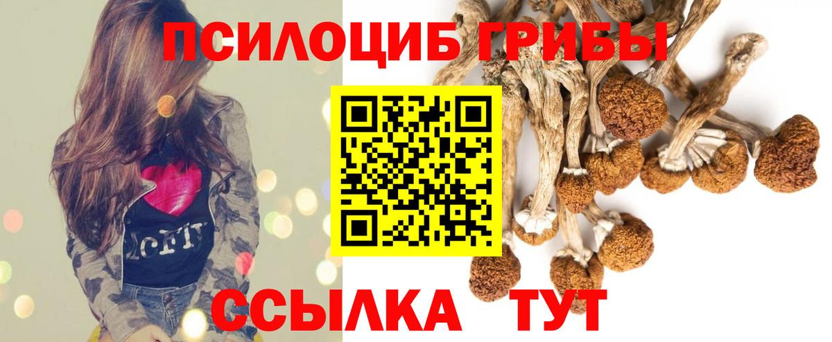 Псилоцибиновые грибы прущие грибы Ялуторовск
